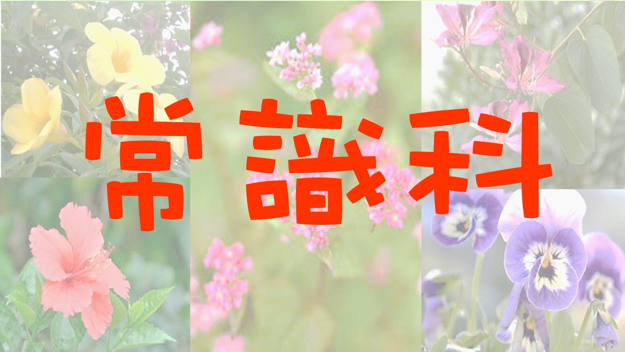 常識科